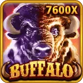 Búfalo